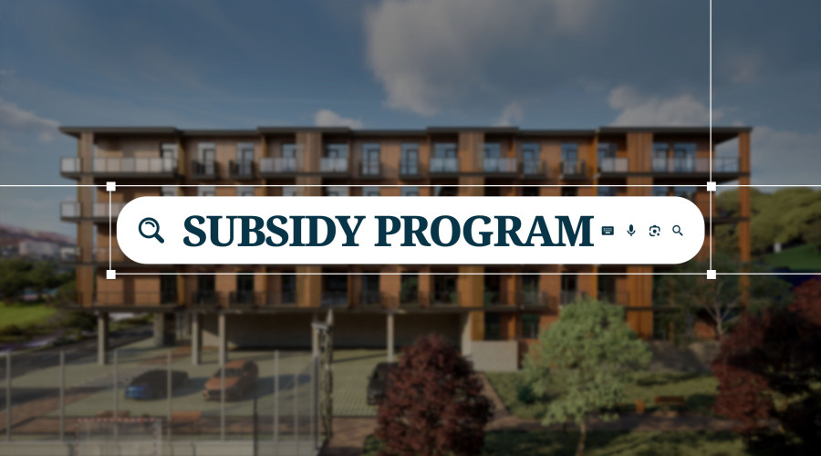 სუბსიდირების პროგრამა