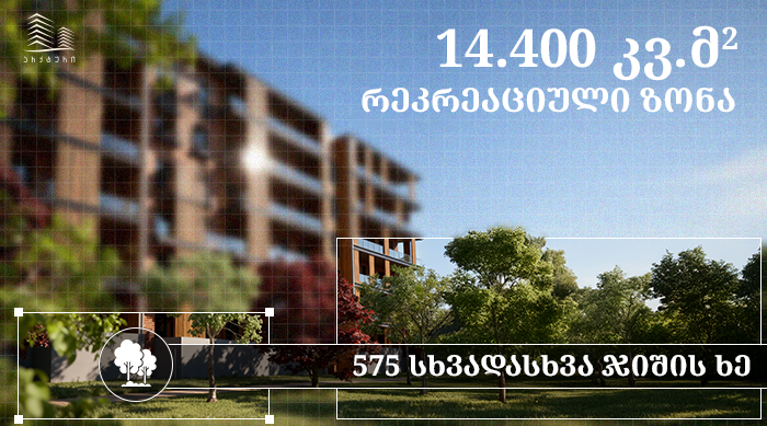 გამწვანება | ეკოლოგიურად სუფთა უბანი